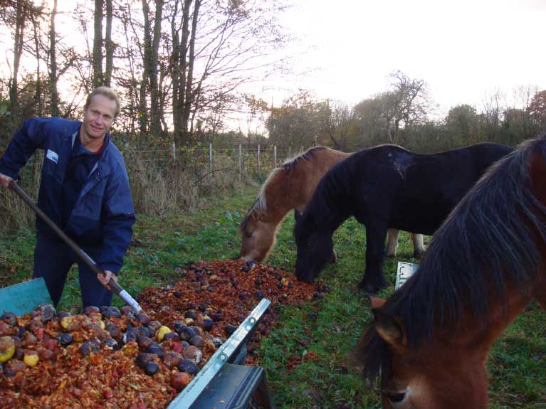 Papa épand le marc et les chevaux se régalent