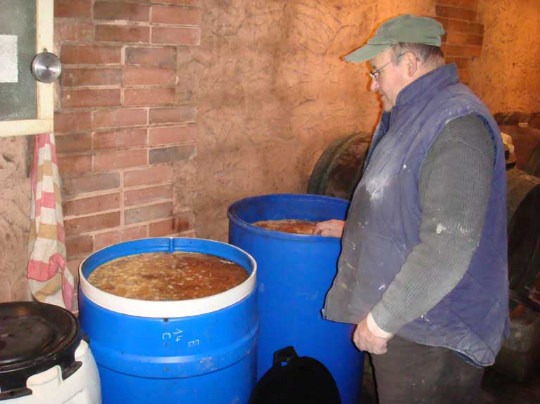 Claude surveille la fermentation