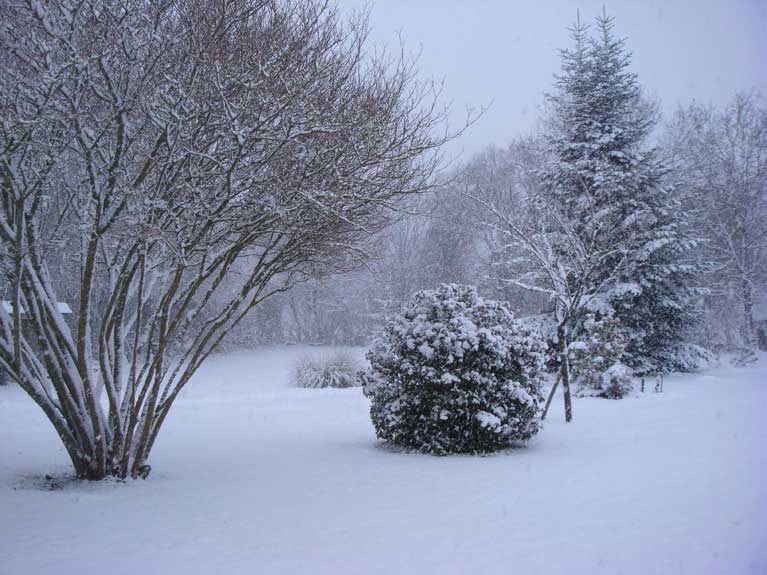 La Normandie sous la neige n°1
