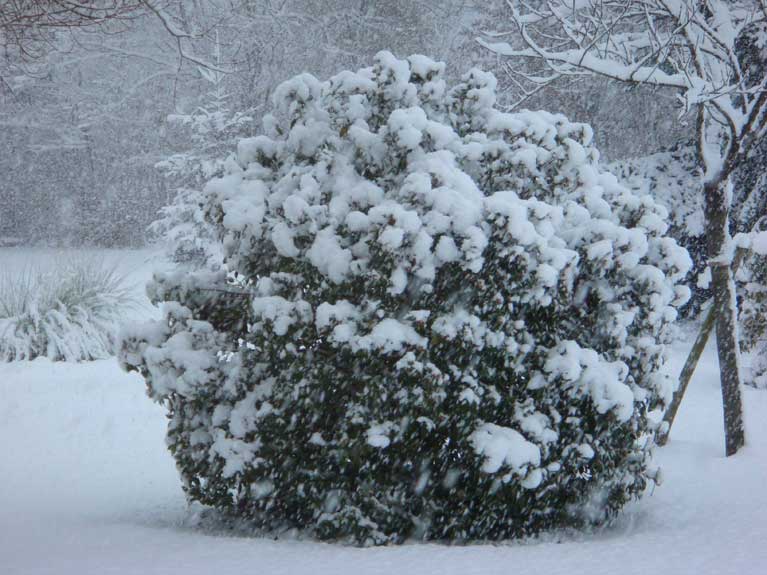 La Normandie sous la neige n°2