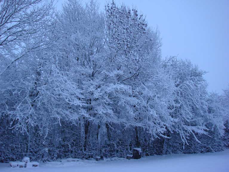 La Normandie sous la neige n°7