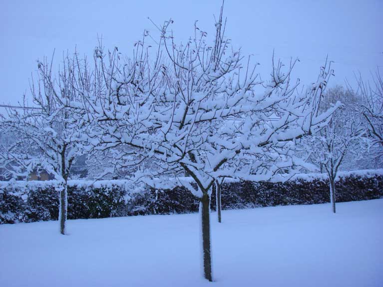 La Normandie sous la neige n°8