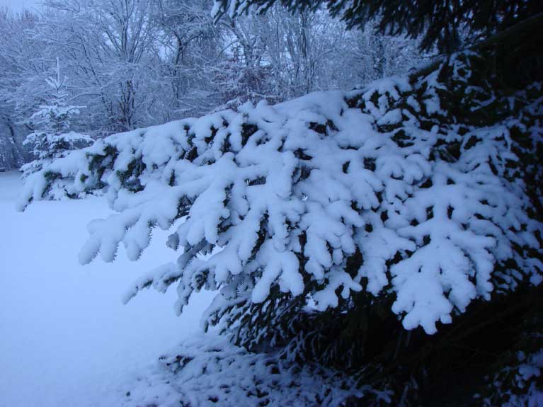 La Normandie sous la neige n°10