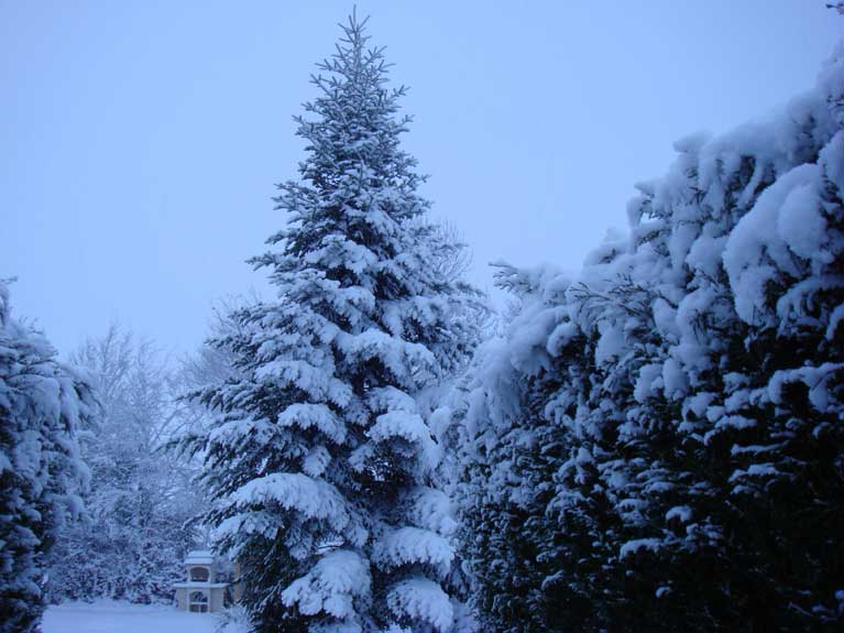 La Normandie sous la neige n°12