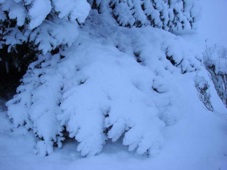 La Normandie sous la neige n°13