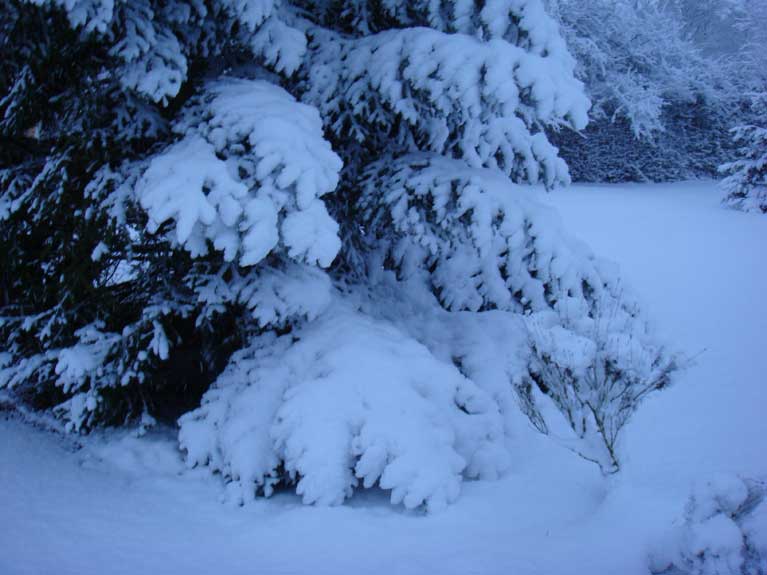 La Normandie sous la neige n°14