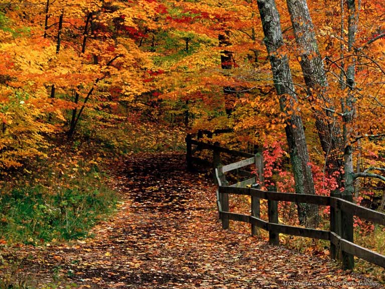 La nature en automne