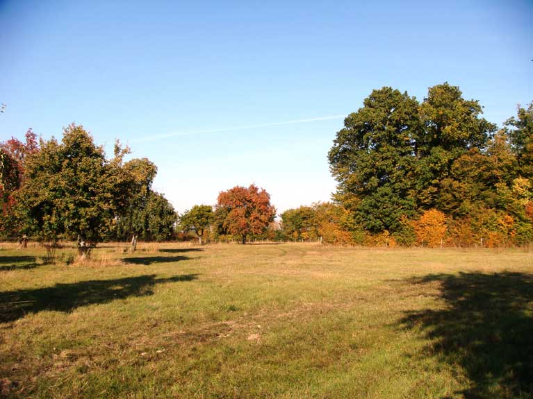 La nature en automne