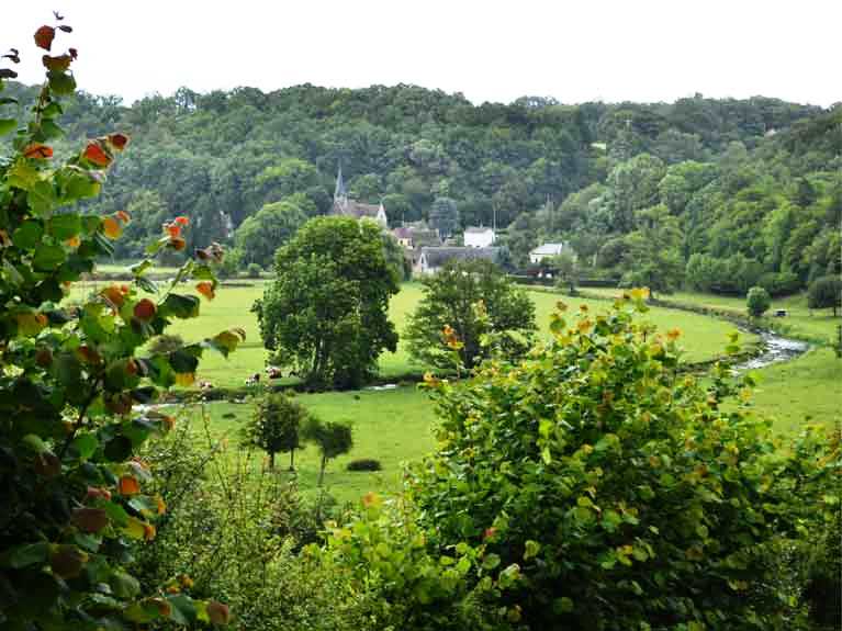 La nature en été