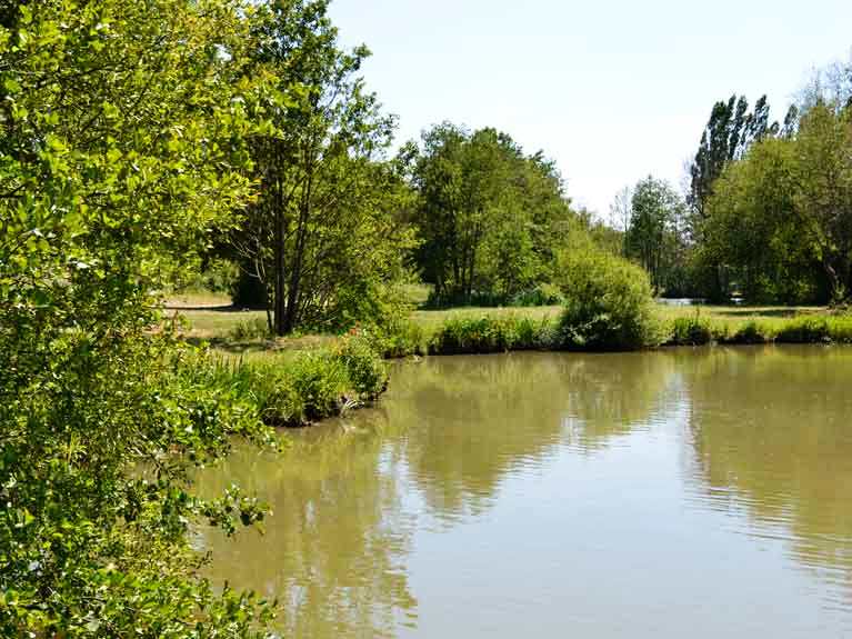 La nature en été