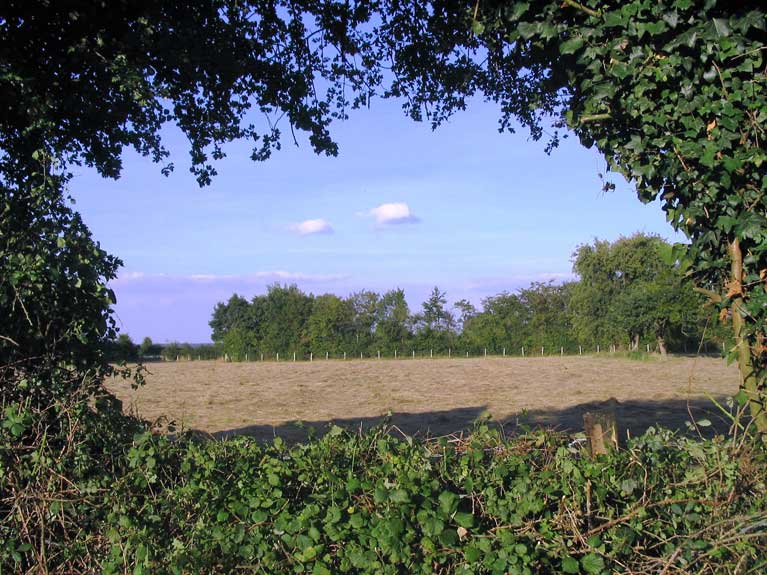 La nature en été