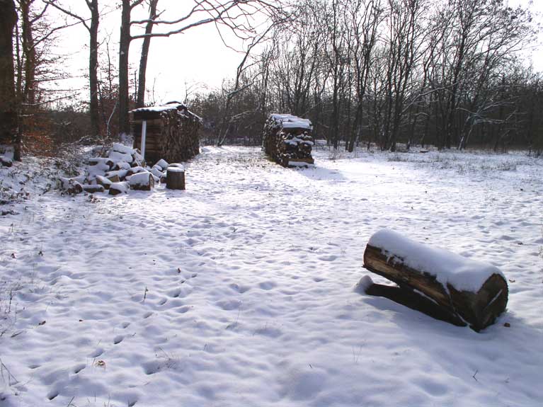 La nature en hiver
