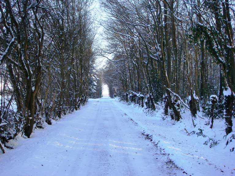 La nature en hiver