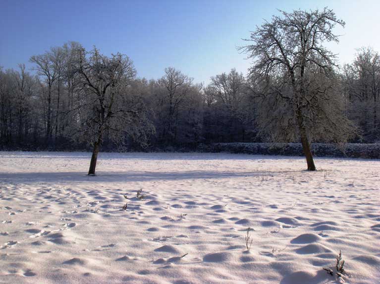 La nature en hiver