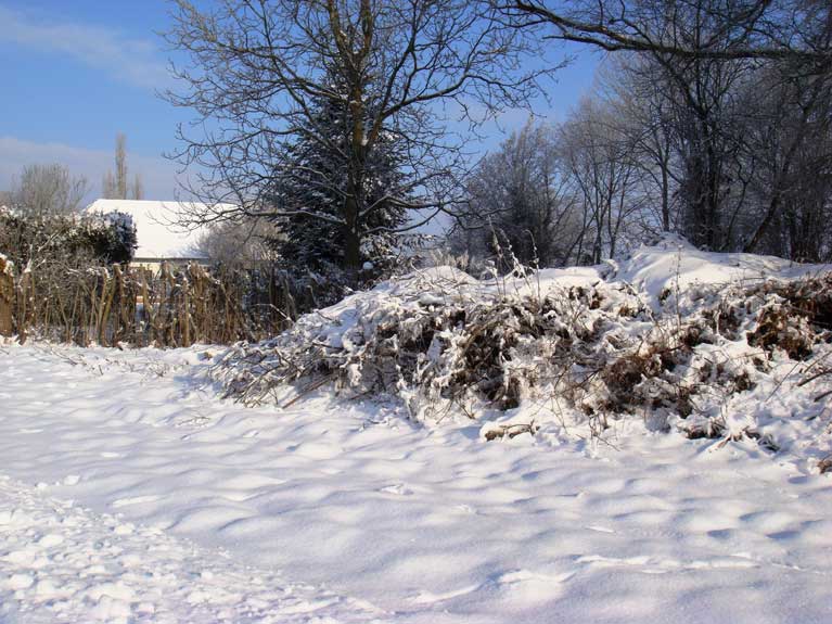 La nature en hiver